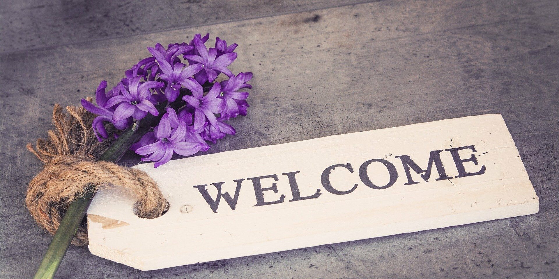 Pflege24.expert Blog