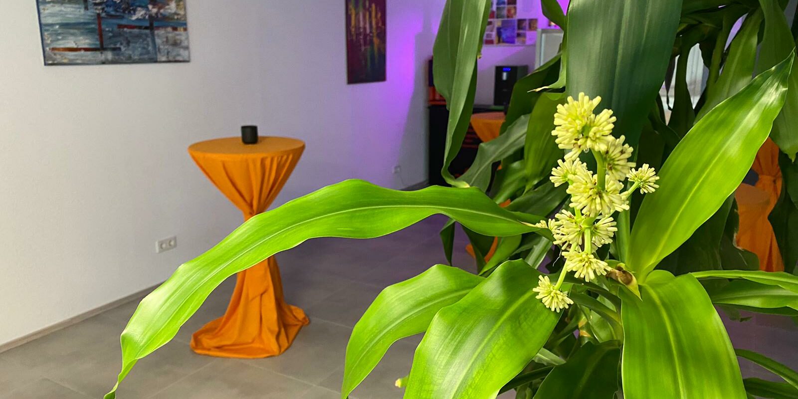 24 Stunden Betreuung mit Beratung vor Ort