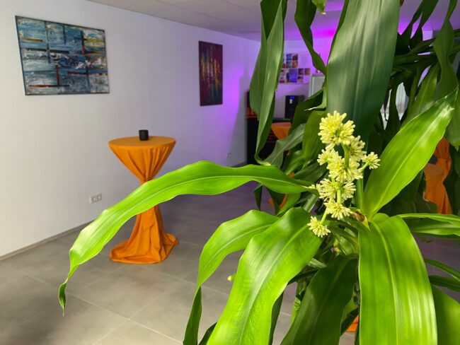 24 Stunden Betreuung mit Beratung vor Ort