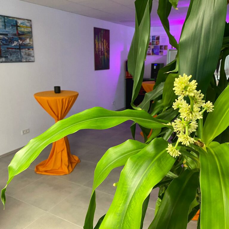 24 Stunden Betreuung mit Beratung vor Ort